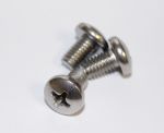 Classic Mini Number Plate Light Screws In Stainless Steel x 2